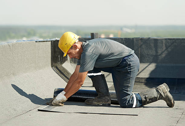 Types of Insulation We Offer in Ocean Springs, MS