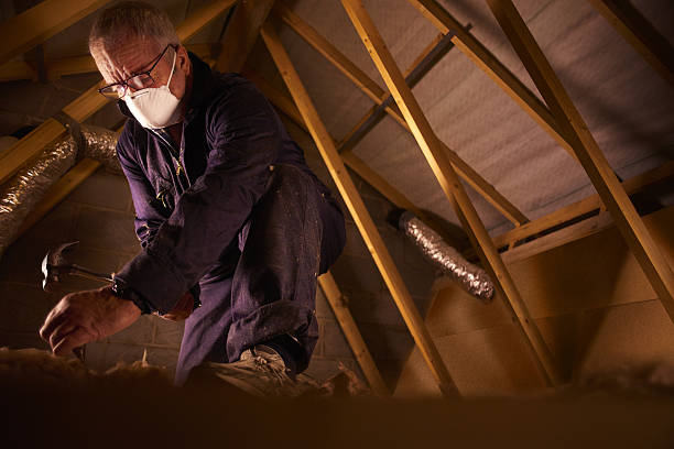 Types of Insulation We Offer in Ocean Springs, MS